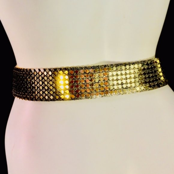 Vtg NOS Antique Gold Tone Stretch Scale Cinch Belt main image 5